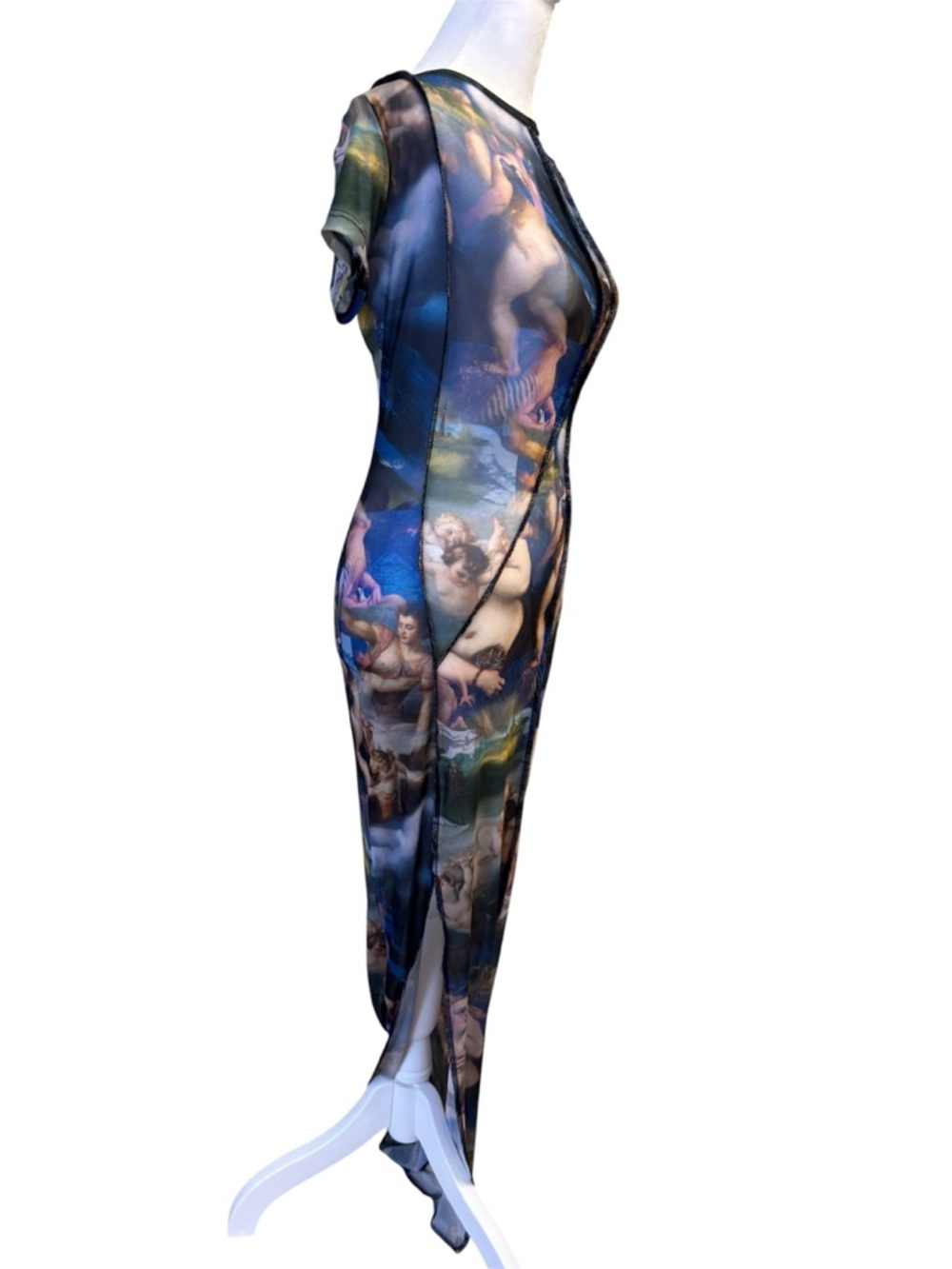 Fashion Nova Renaissance art mesh maxi dress 🎨 - Picture 3 of 6